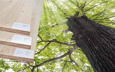 Nabízené dřeviny firmy Florian Legno zákazníkům